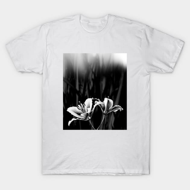 Mist T-Shirt by SiSuSiSu